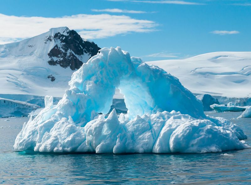 Poolexpeditie Antarctica - Drake Passage - Beagle Channel - Zuidelijke Shetlandeilanden - migratie walvissen